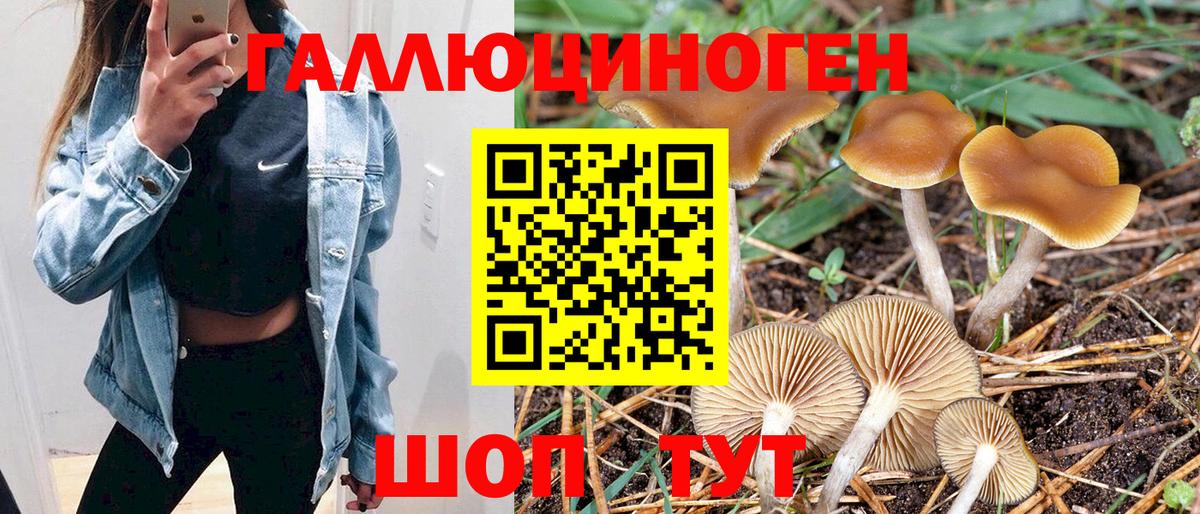 магазин    Псилоцибиновые грибы Psilocybe  Вход с VPN  Бузулук 