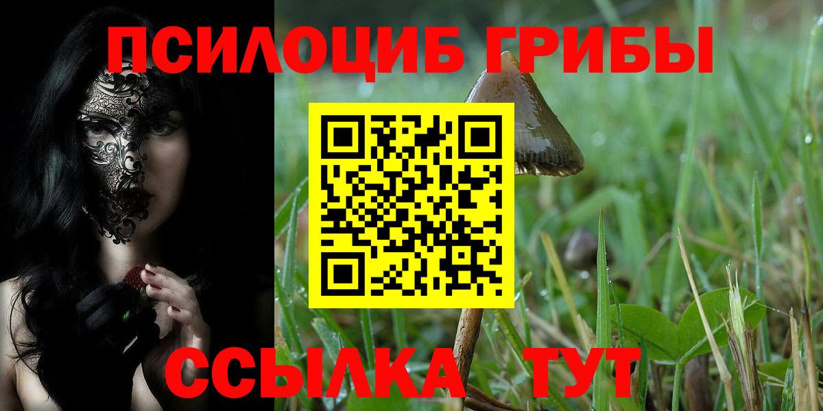 Псилоцибиновые грибы прущие грибы Бузулук